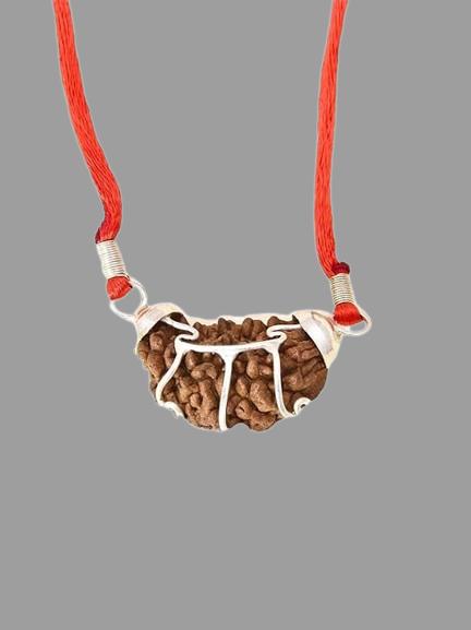 One Mukhi Nepali Rudraksha - Chaar Mukhi