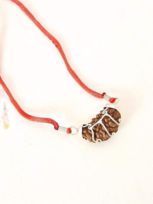 One Mukhi Nepali Rudraksha - Chaar Mukhi