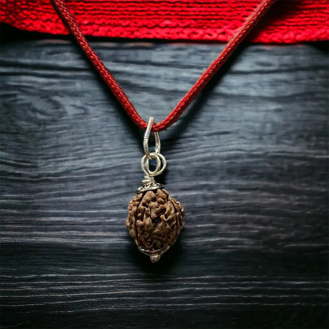 One Mukhi Nepali Rudraksha - Chaar Mukhi